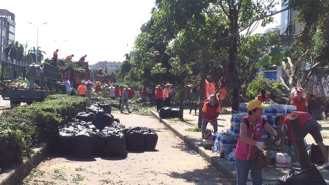 1565849797678831.jpg 1565849797678831.jpg