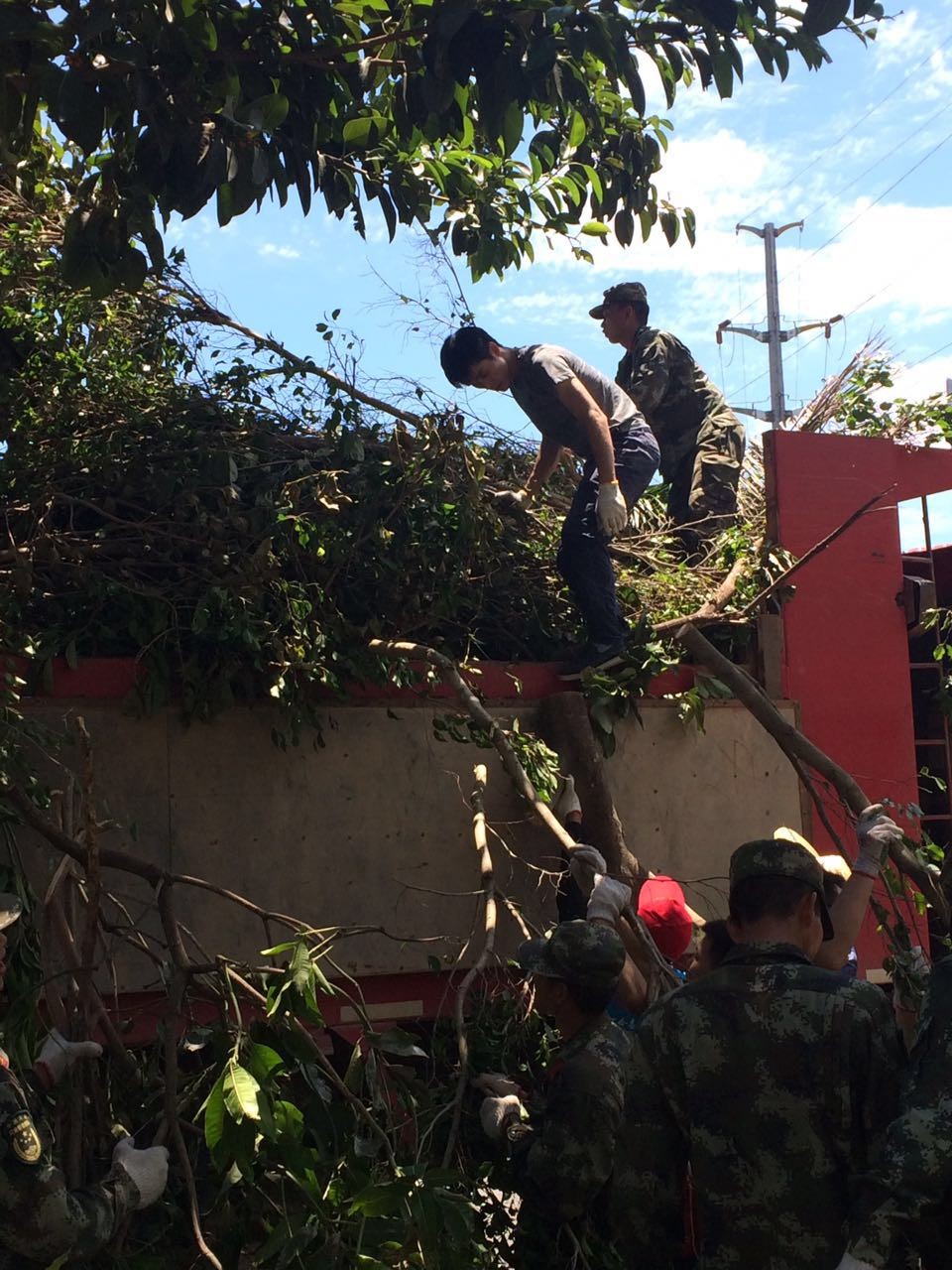 1565849814940868.jpg 1565849814940868.jpg